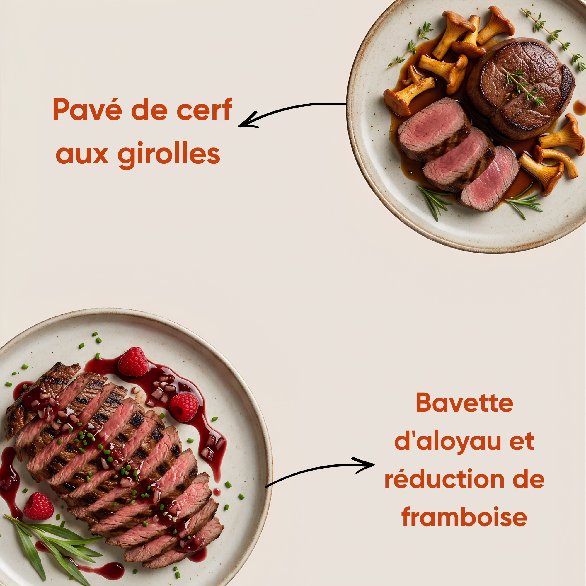 chinon accords vin