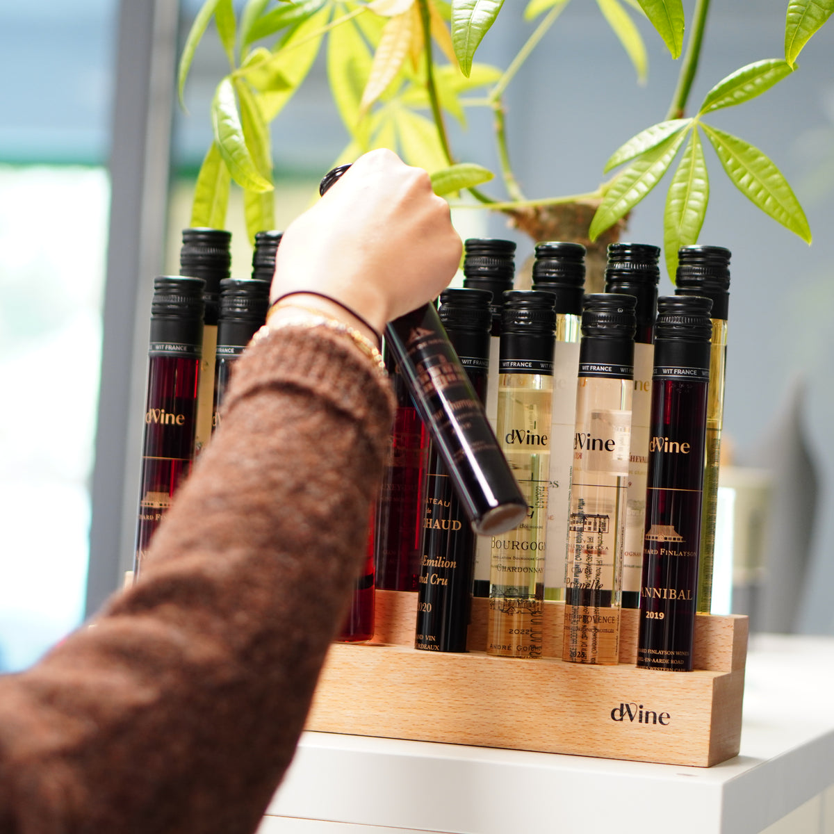 flacon vin presentoir
