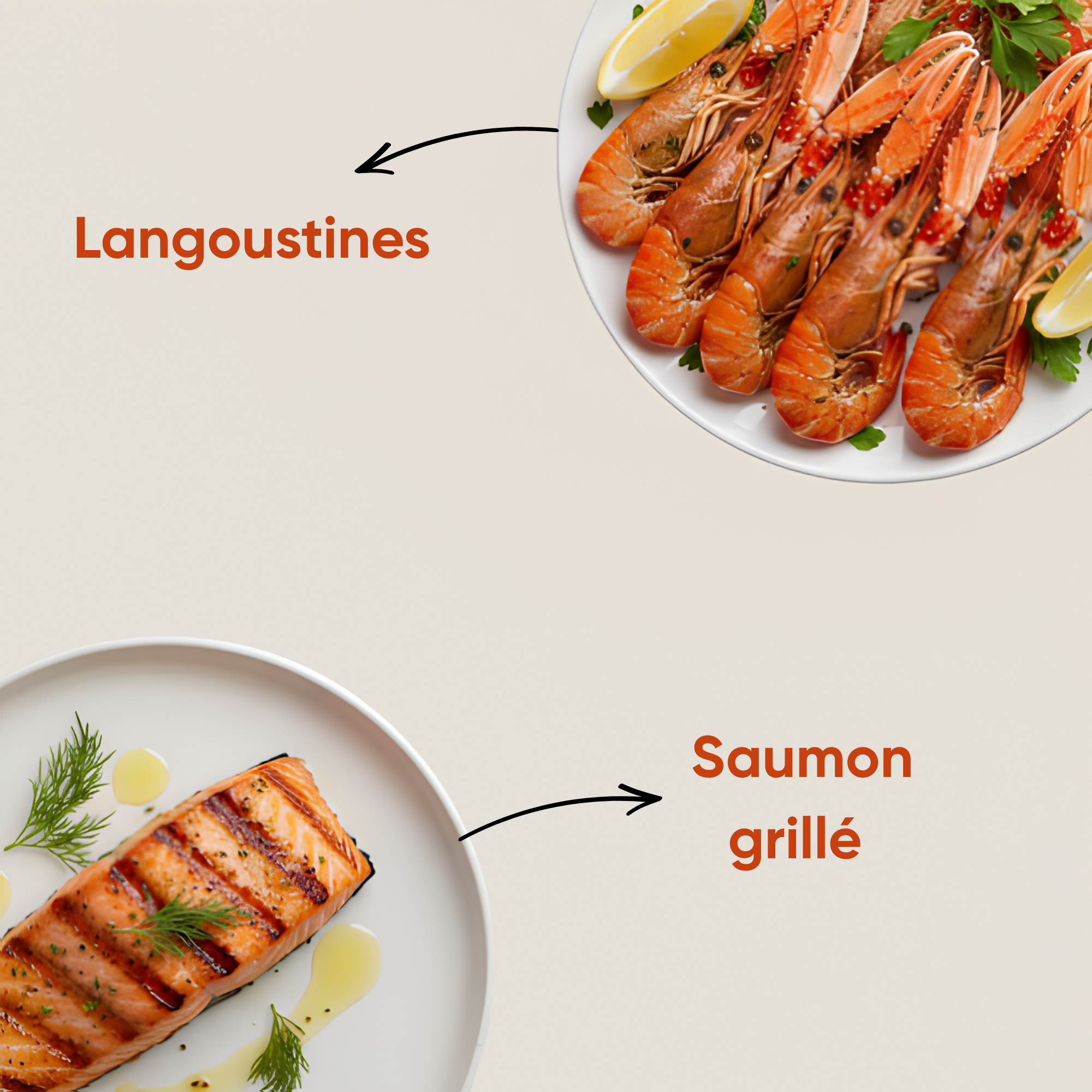 Langoustine Saumon
