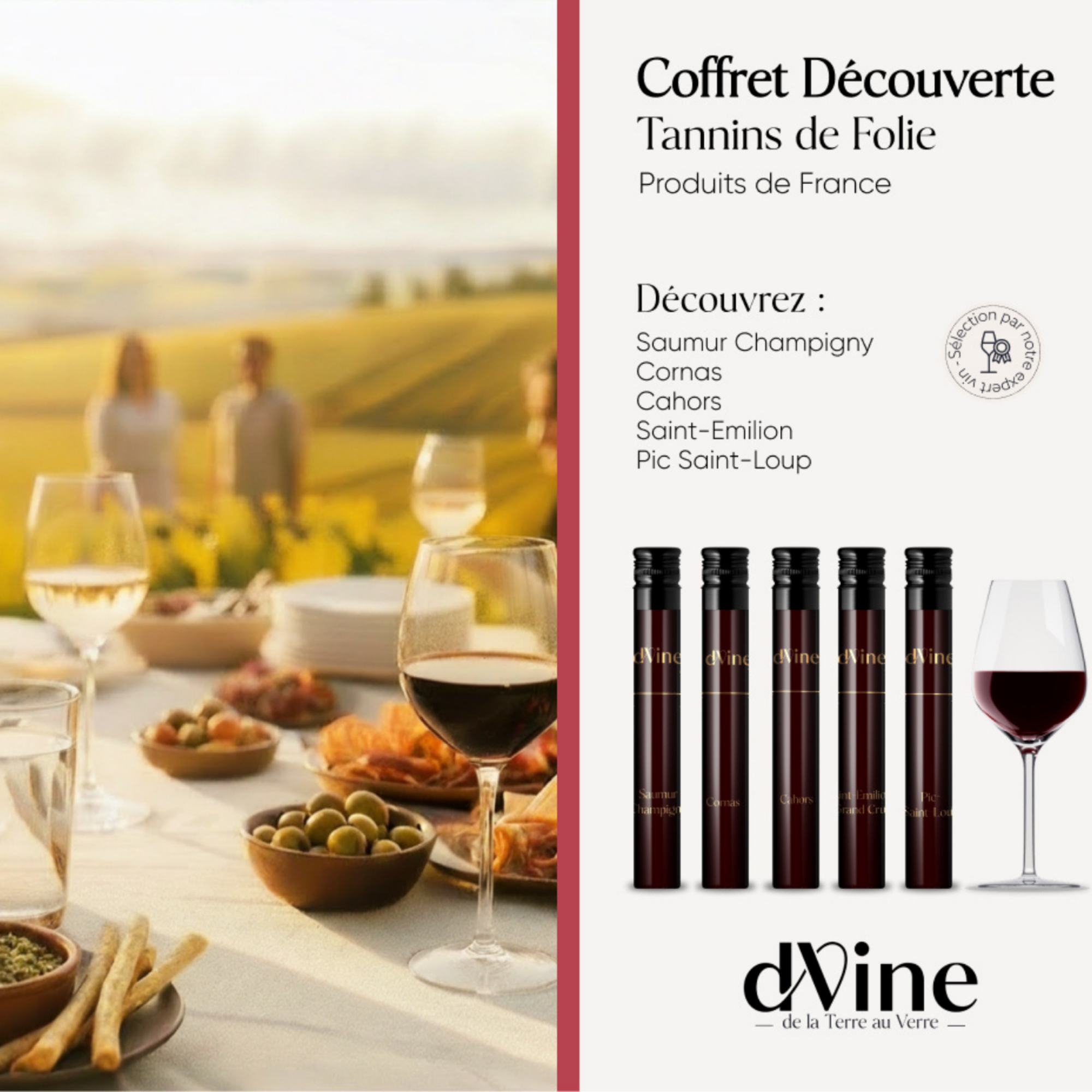 Coffret Vin Tannins de Folie 5 flacons