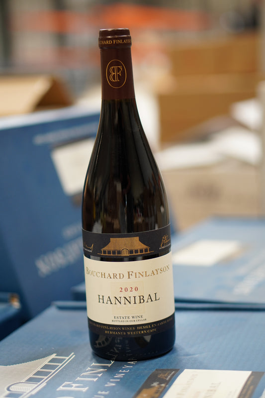 HANNIBAL 2020 WO HEMMEL-EN-AARDE VALLEY, WALKER BAY, BOUCHARD FINLAYSON