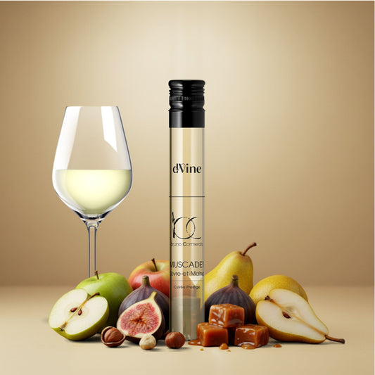 muscadet sevre-et-maine