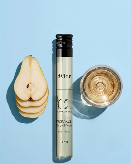 muscadet vin blanc