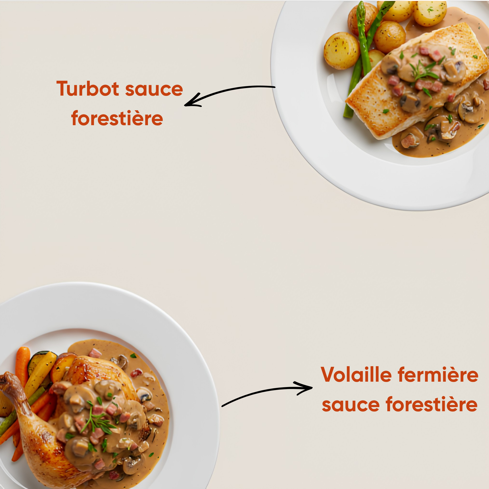 Turbot Volaille Forestiere