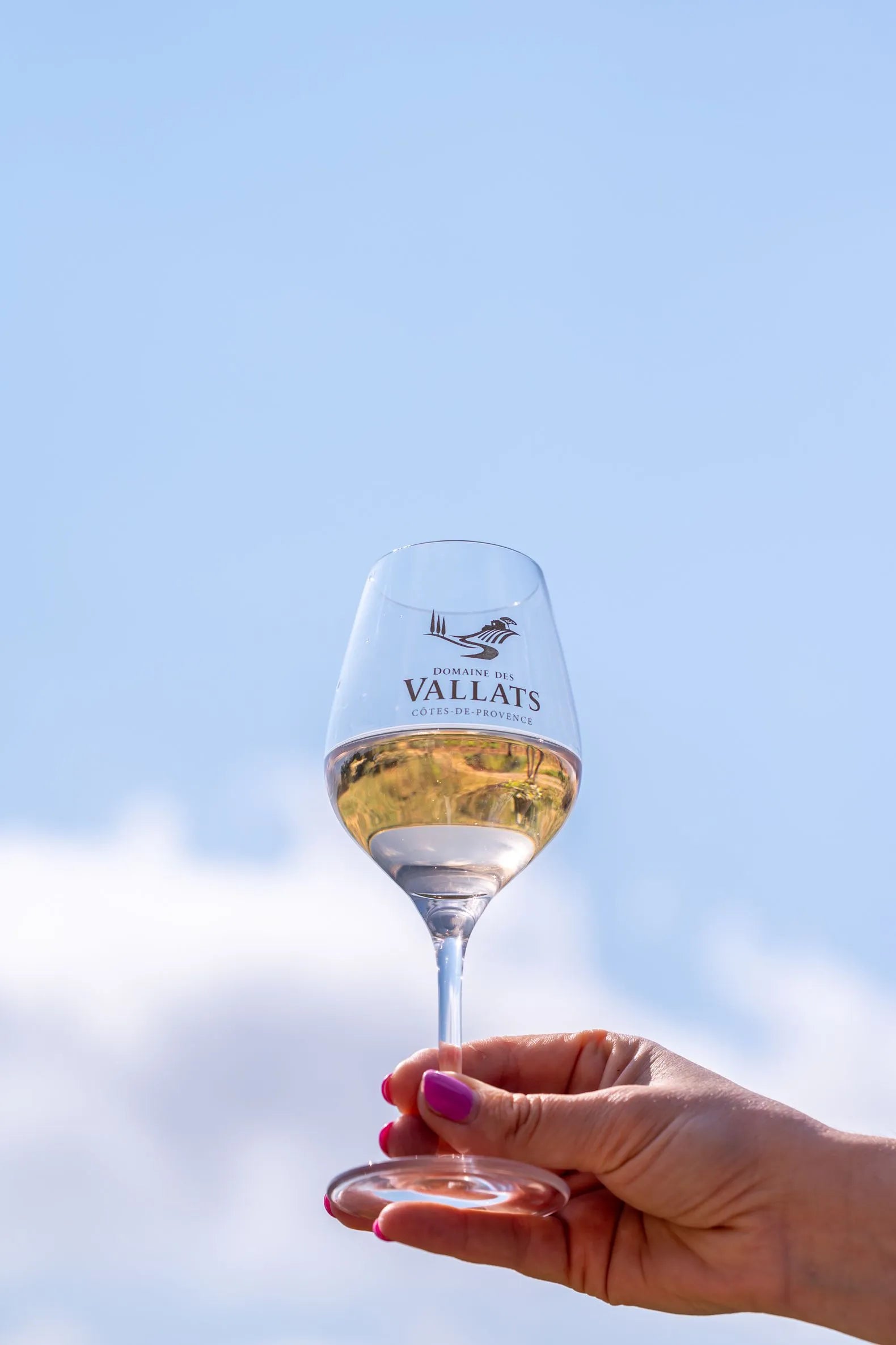 Visite Domaine des Vallats - Provence (1 personne)